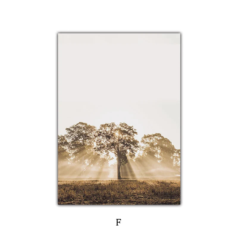 Simple Nature Floral Landscape Gallery Wall Art Fine Art Canvas Prints Minimalist Nordic Pictures For Living Room Scandinavian Home Decor | Bowlift