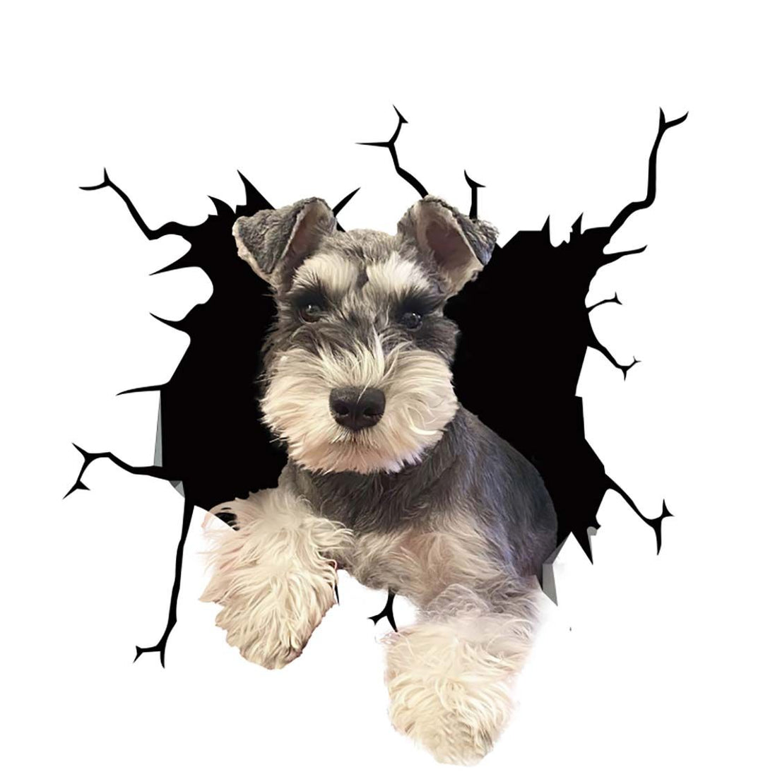 BowLift | Car Scratch Hider 3D Puppy Sticker