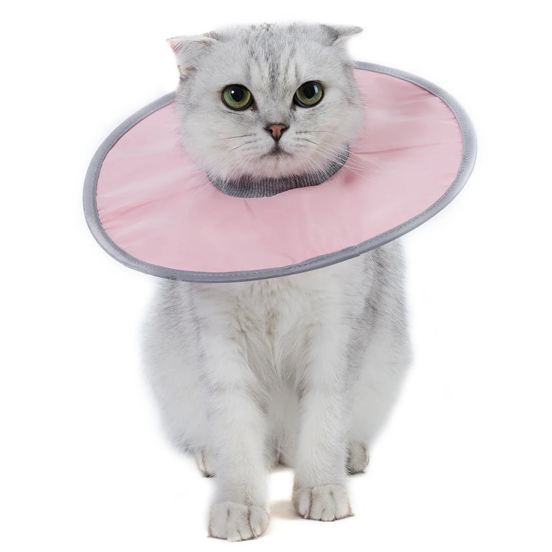 Cat protection collar soft & comfortable Bowlift