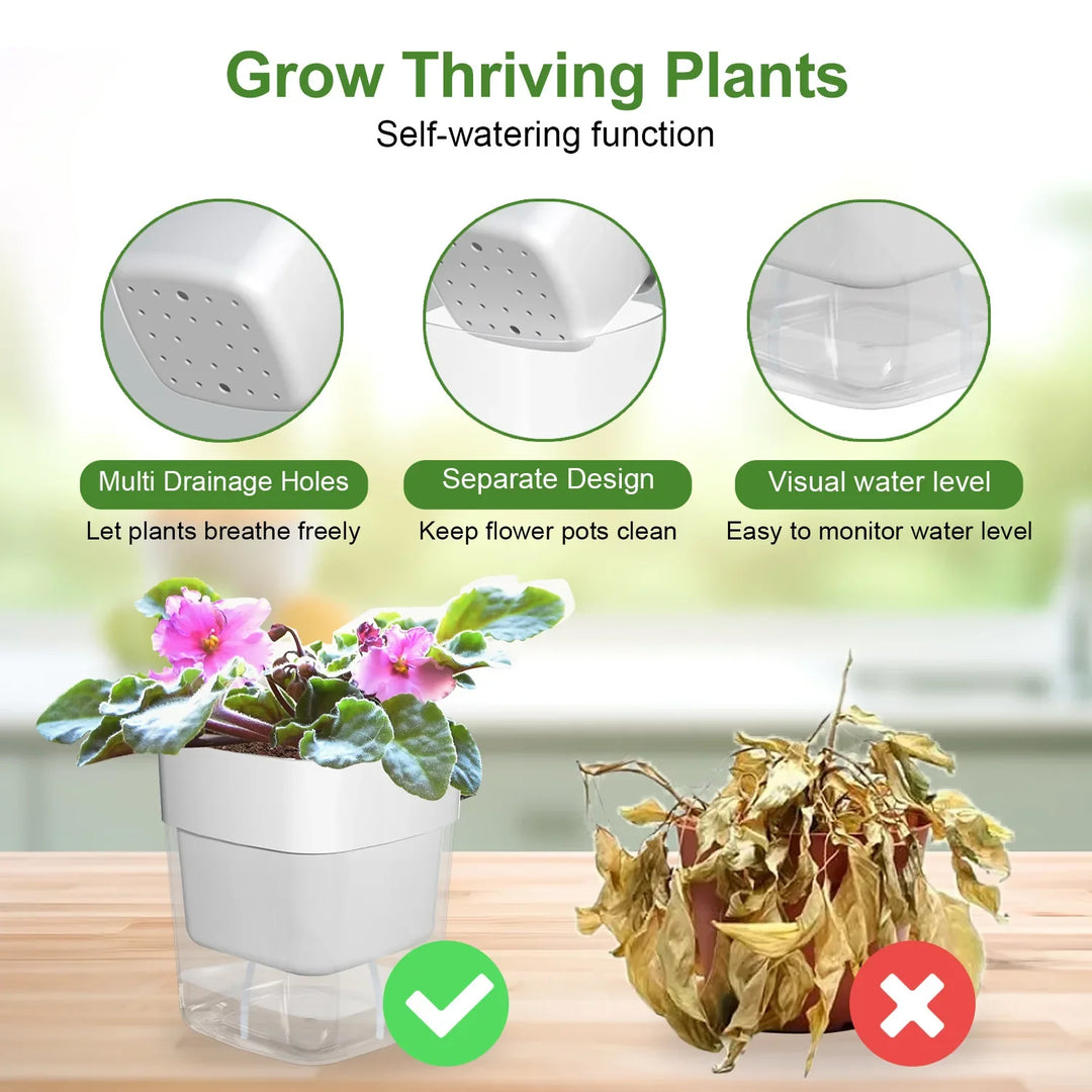 BowLift | Plant Pot BloomEase | Self-Watering & Space-Saving | With Water Level Indicator | For Indoor Plants & Herbs