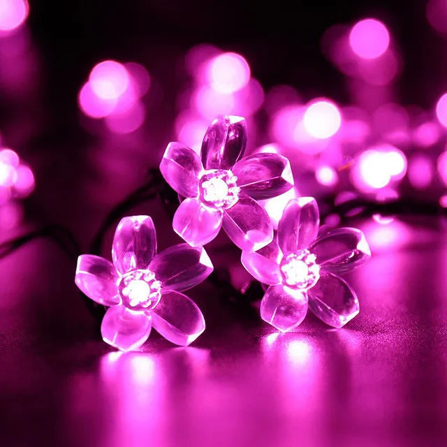 BowLift | LumiSola Solar String Lights | 20–100 LEDs | Warm White, White or RGB | 8 Modes | For Garden & Balcony | 5–12m