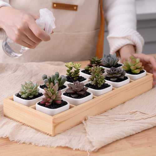 BowLift | Mini Planter Tray Set