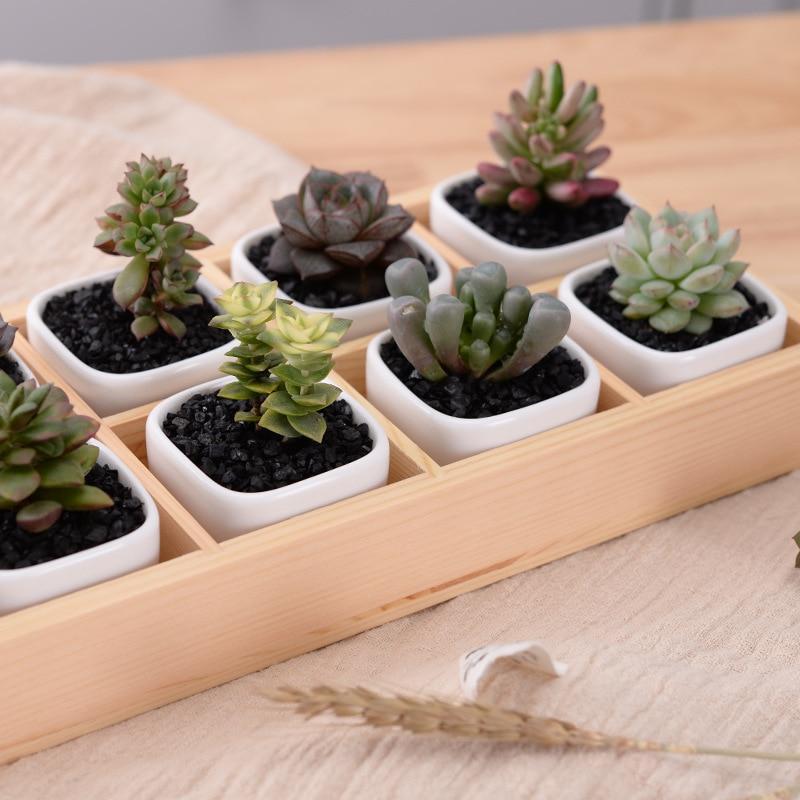 BowLift | Mini Planter Tray Set