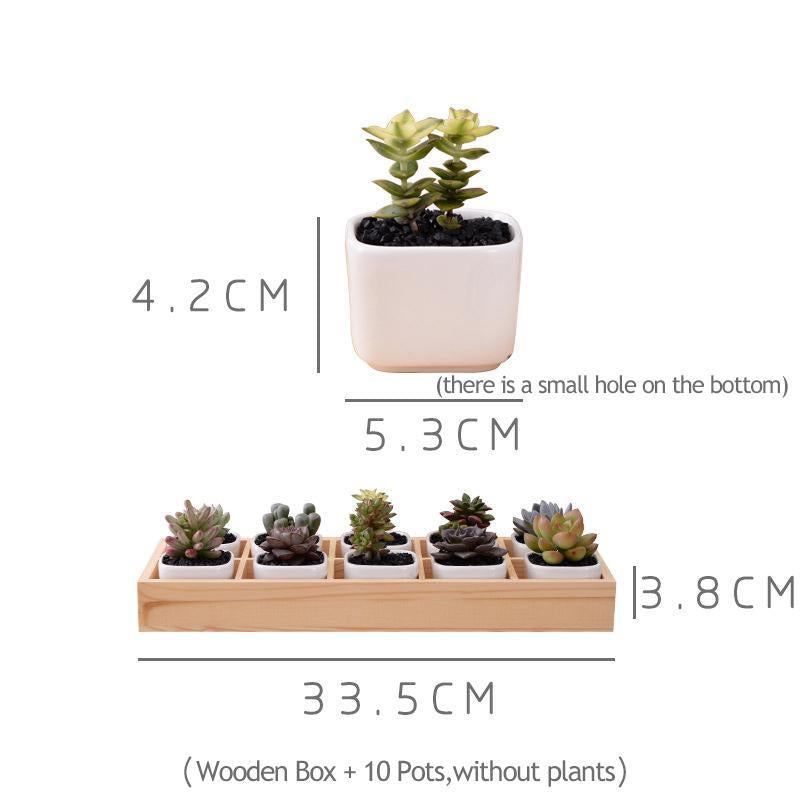 BowLift | Mini Planter Tray Set