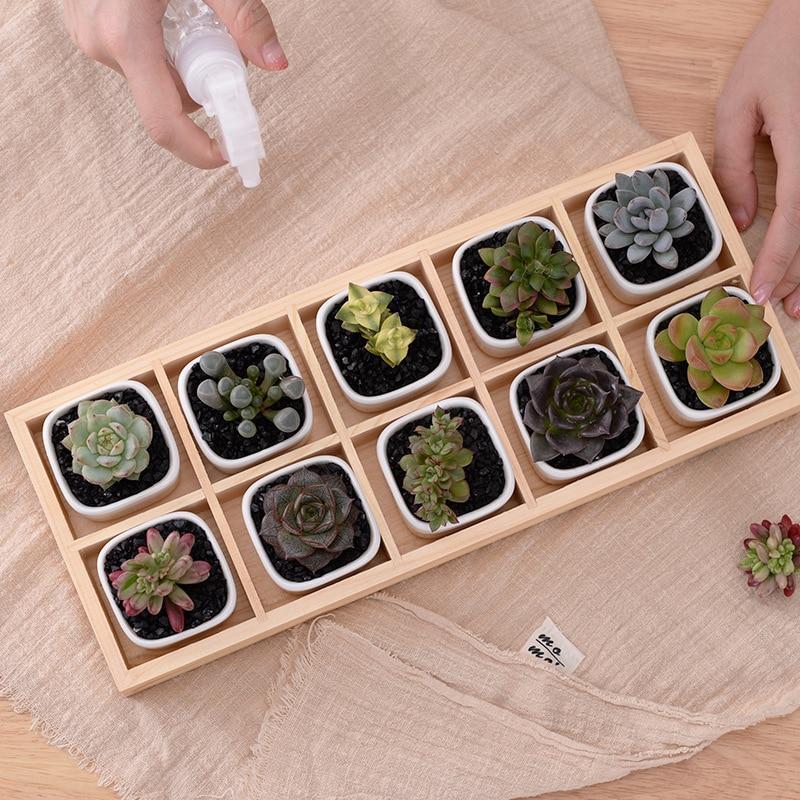 BowLift | Mini Planter Tray Set