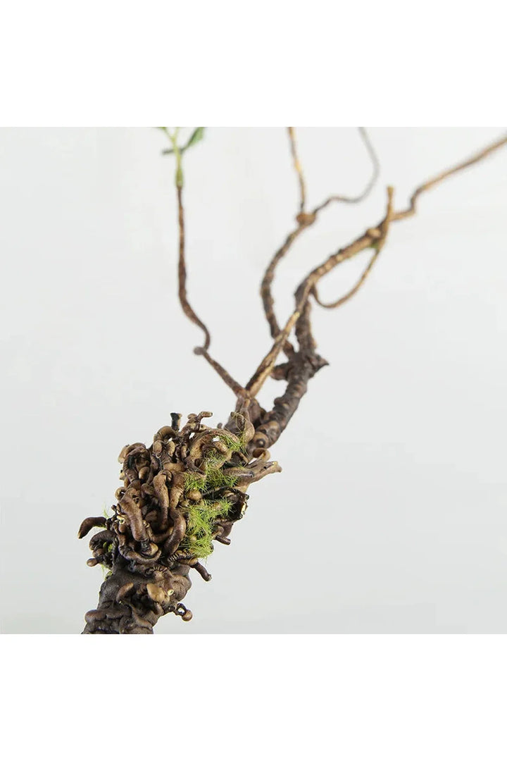 Branches Artificial Plants | Bowlift