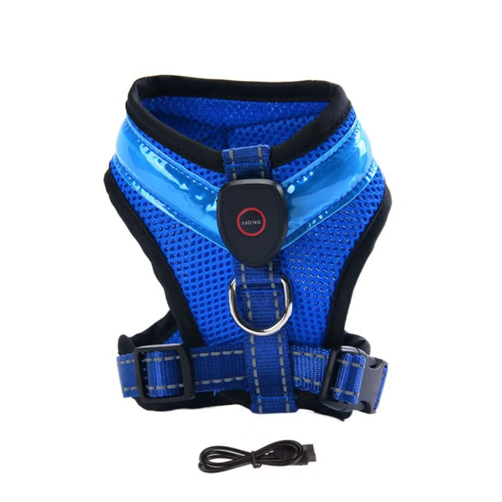 LED Dog Harness USB rechargeable & adjustable Bowlift