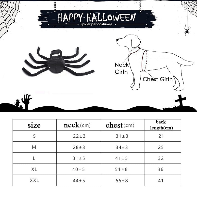 BowLift | Black Spider Pet Costume