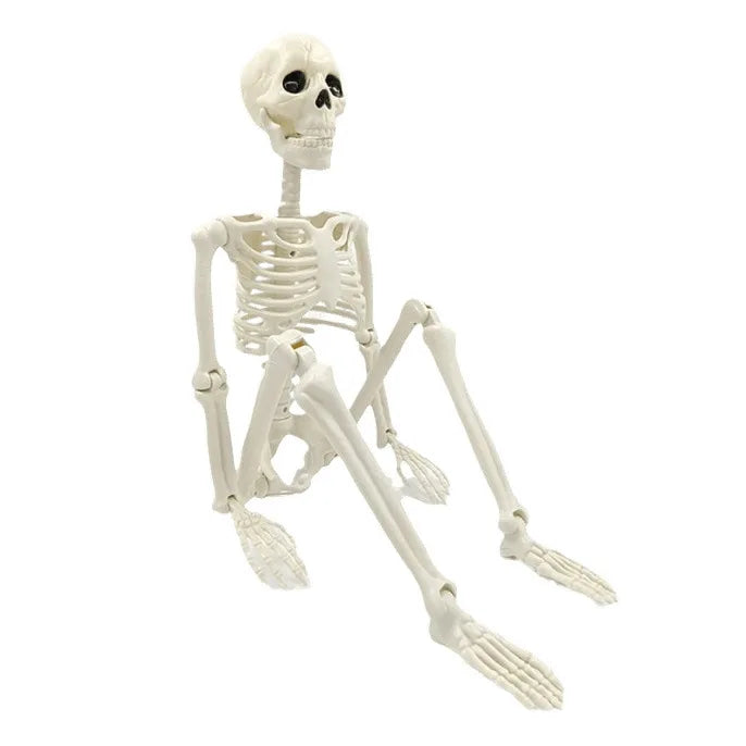 BowLift | Movable human skeleton 90–165 cm — realistic decoration for Halloween and horror parties