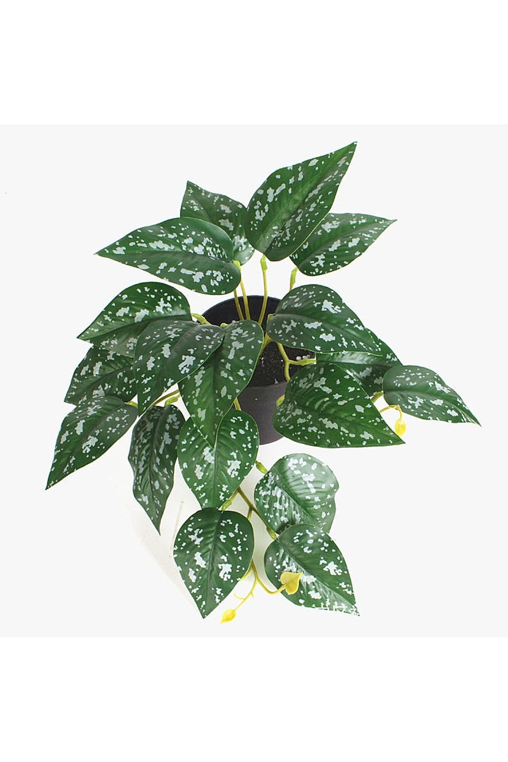 green grapevine wall decoration | Bowlift
