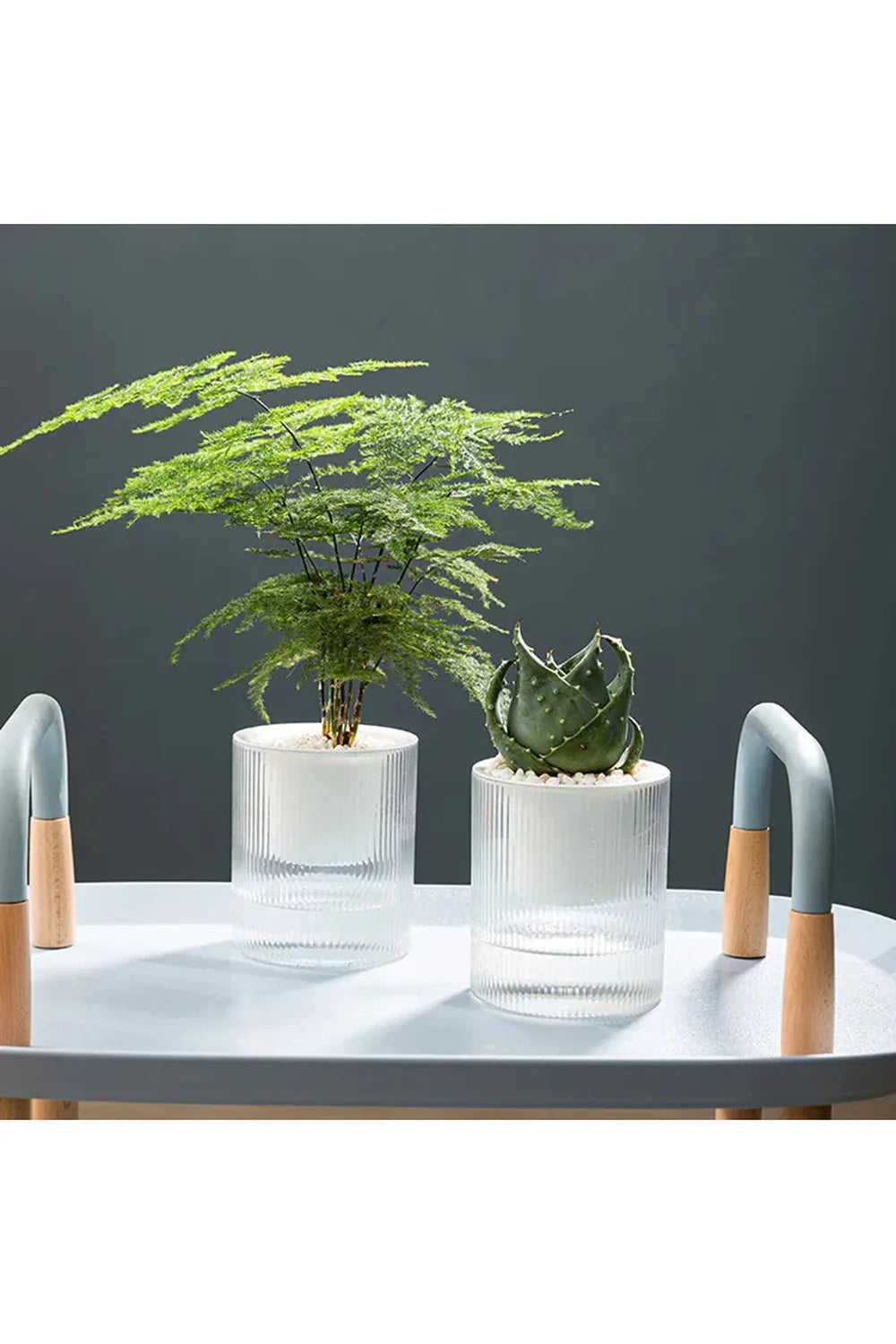 Fish tank plants pot | Bowlift