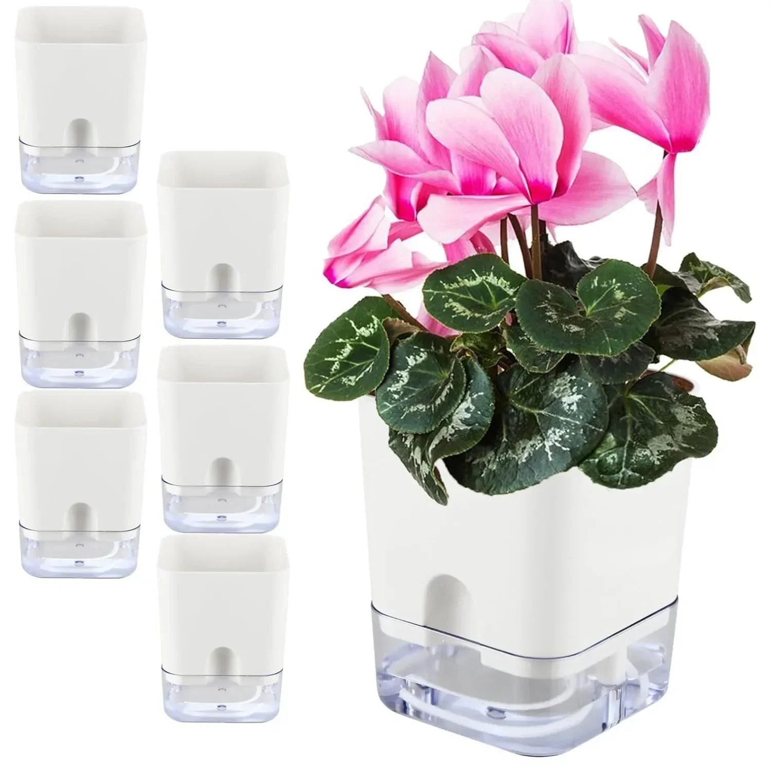 BowLift | HydroLino Flower Pot | Self-Watering | Compact & Transparent | For Indoor Use