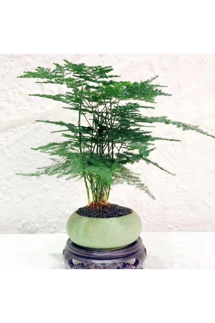 Frosted Stone Flower Pot | Bowlift