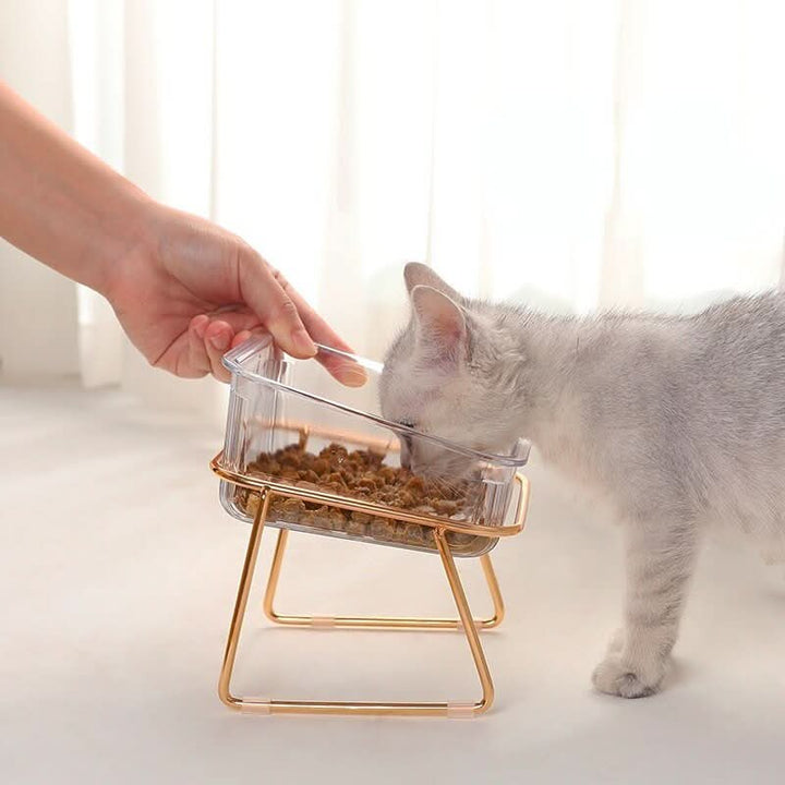 BowLift | Elevated feeding bowl for healthy eating posture in cats & small dogs