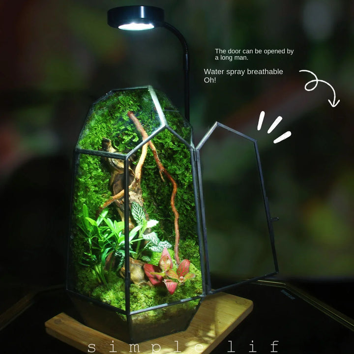 Modern Geometric Nature-Inspired Botanical Terrarium | Bowlift