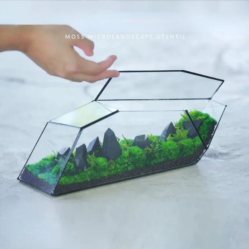 Geometric Glass Moss Planter Terrarium Vase | Bowlift