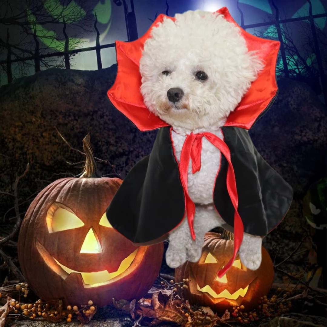 BowLift | Halloween Cape Costume for Cats and Small Dogs – Soft Cloak for Pet Cosplay and Holiday Parties