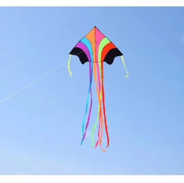 BowLift | Colorful Long Tail Outdoor Rainbow Kite