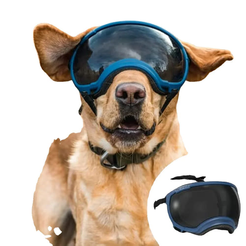 Dog sunglasses with UV protection windproof adjustable Bowlift