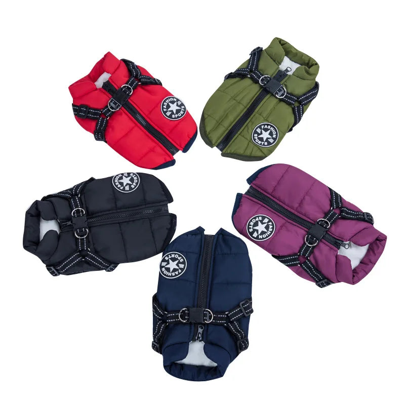 BowLift | Frost protection for your pet