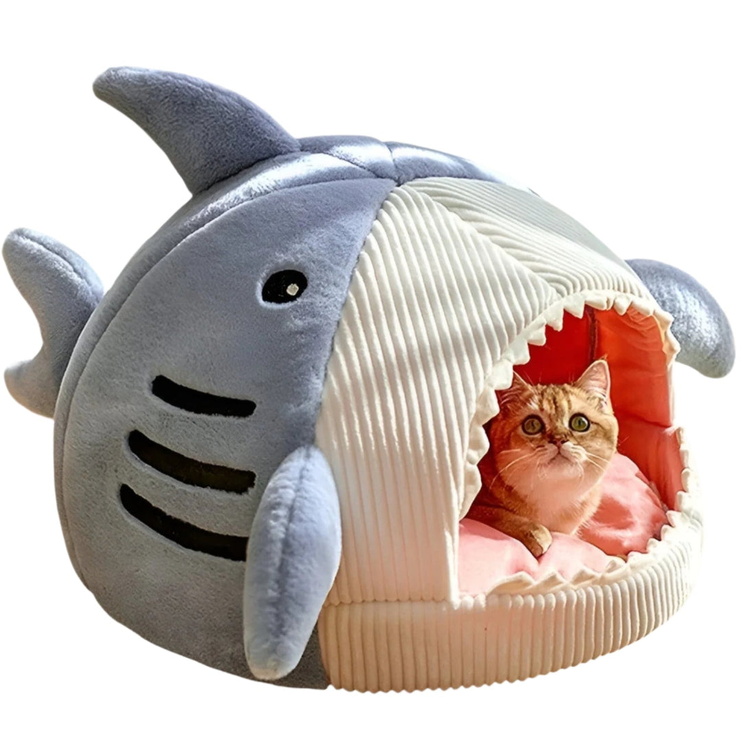 BowLift | SoftBloom Shark Cat Bed – Cozy Hideaway for Indoor