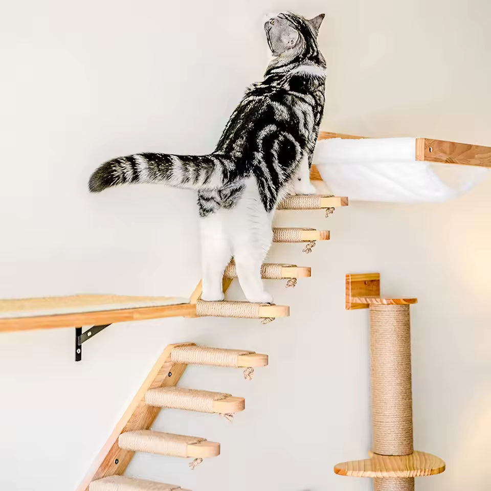 Cat climbing ladder for wall mounting made of wood with sisal Bowlift