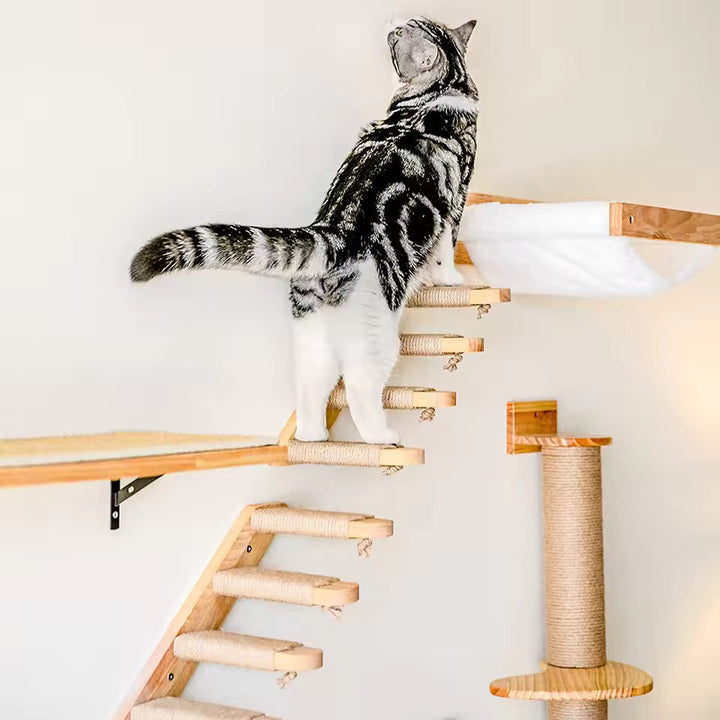 Cat climbing ladder for wall mounting made of wood with sisal Bowlift