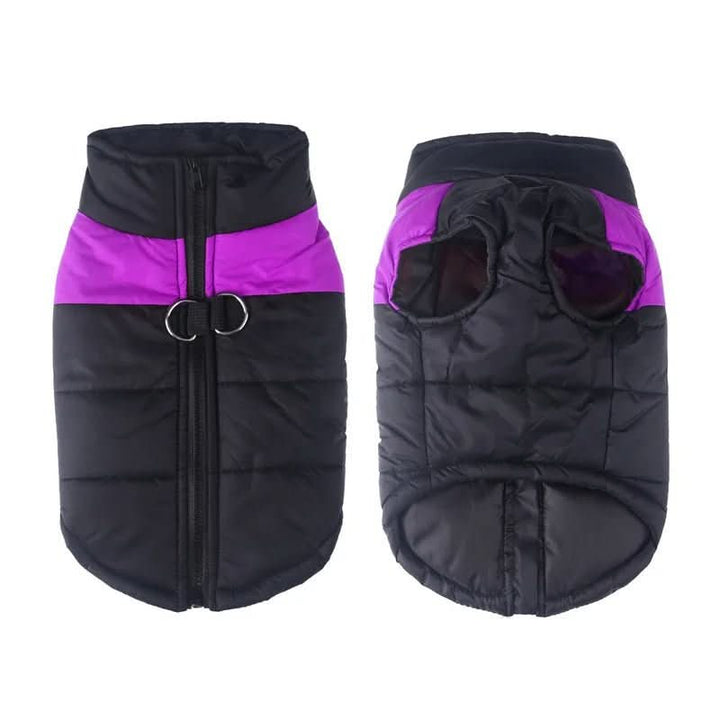 BowLift | Winter jacket for dogs with protection & comfort
