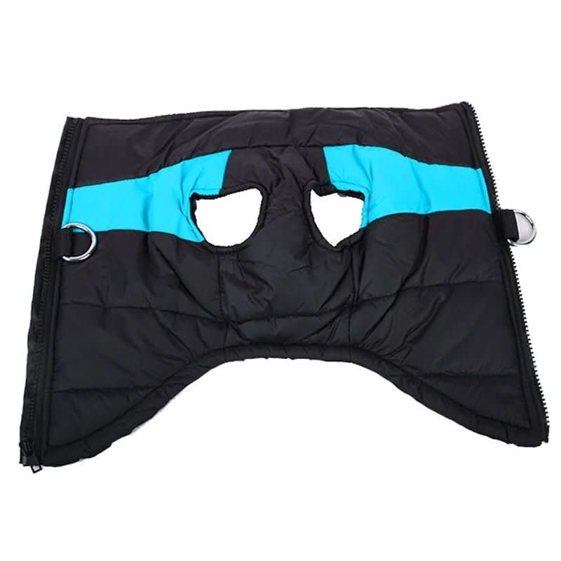 BowLift | Winter jacket for dogs with protection & comfort