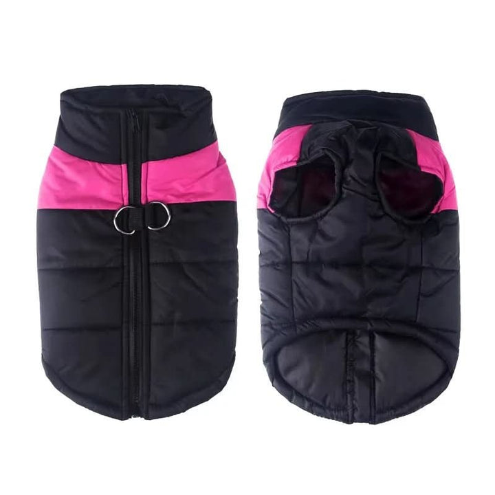 BowLift | Winter jacket for dogs with protection & comfort