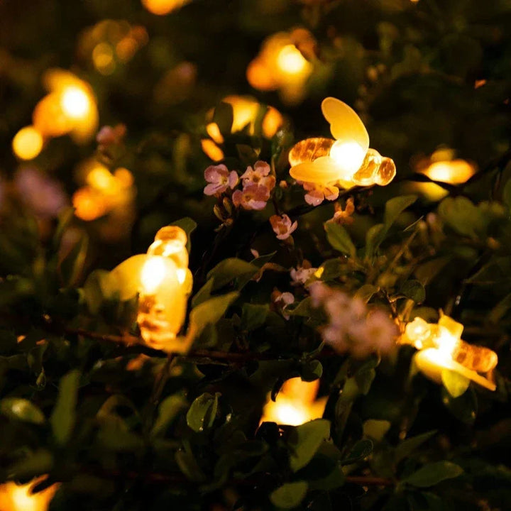 BowLift | Sustainable glow for your garden