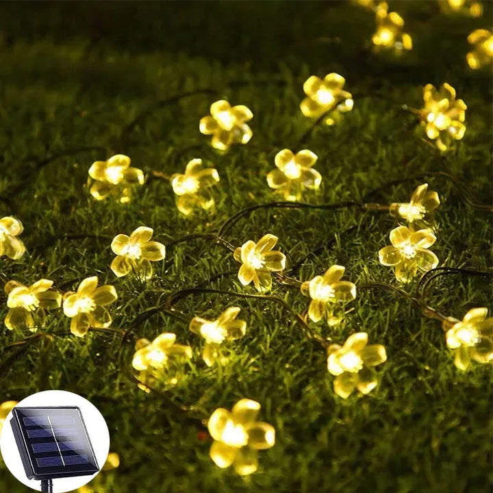 BowLift | Floral glow for every day in the garden