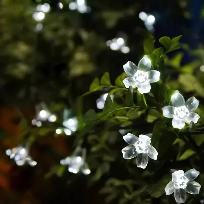BowLift | Floral glow for every day in the garden