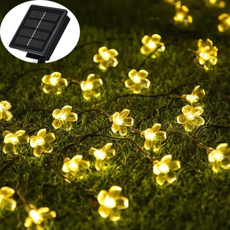 BowLift | Floral glow for every day in the garden