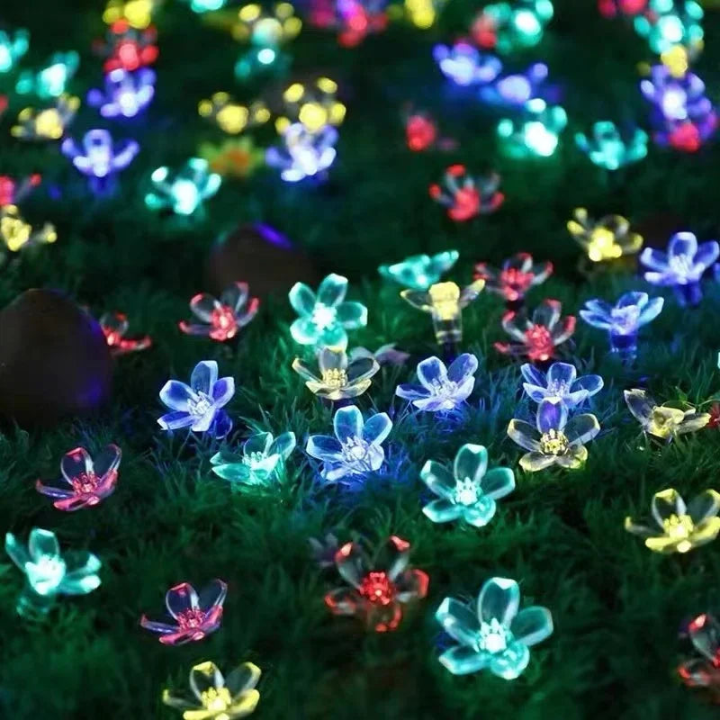 BowLift | Floral glow for every day in the garden