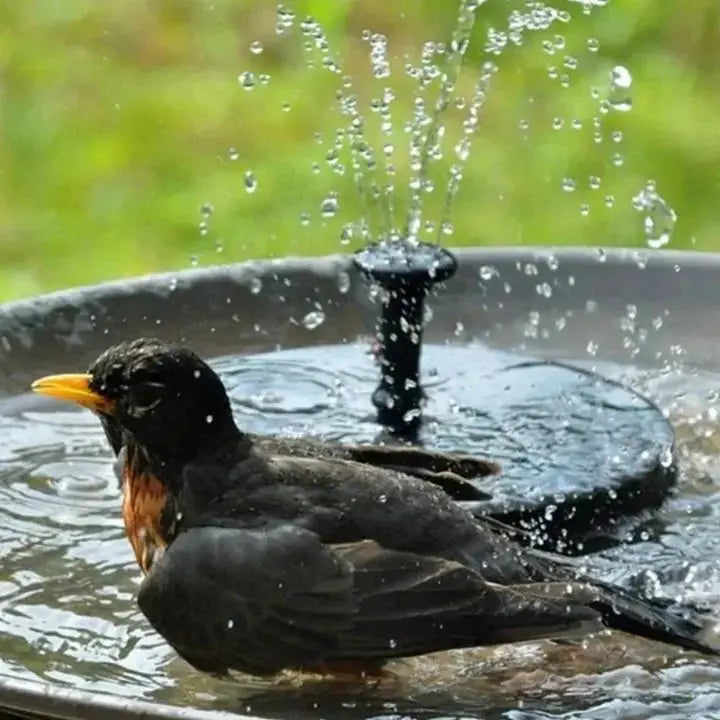 BowLift | Solar garden fountain with soothing splashing – For birds & soul