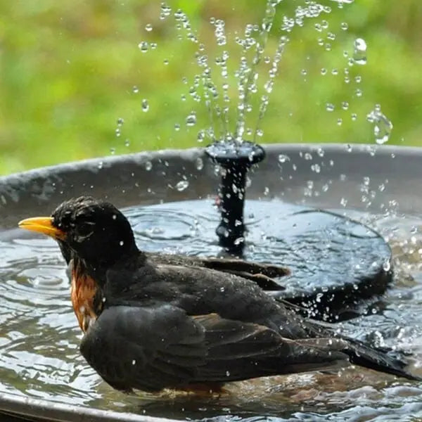 BowLift | High Quality Solar Fountain for Your Garden – Relax in Peace