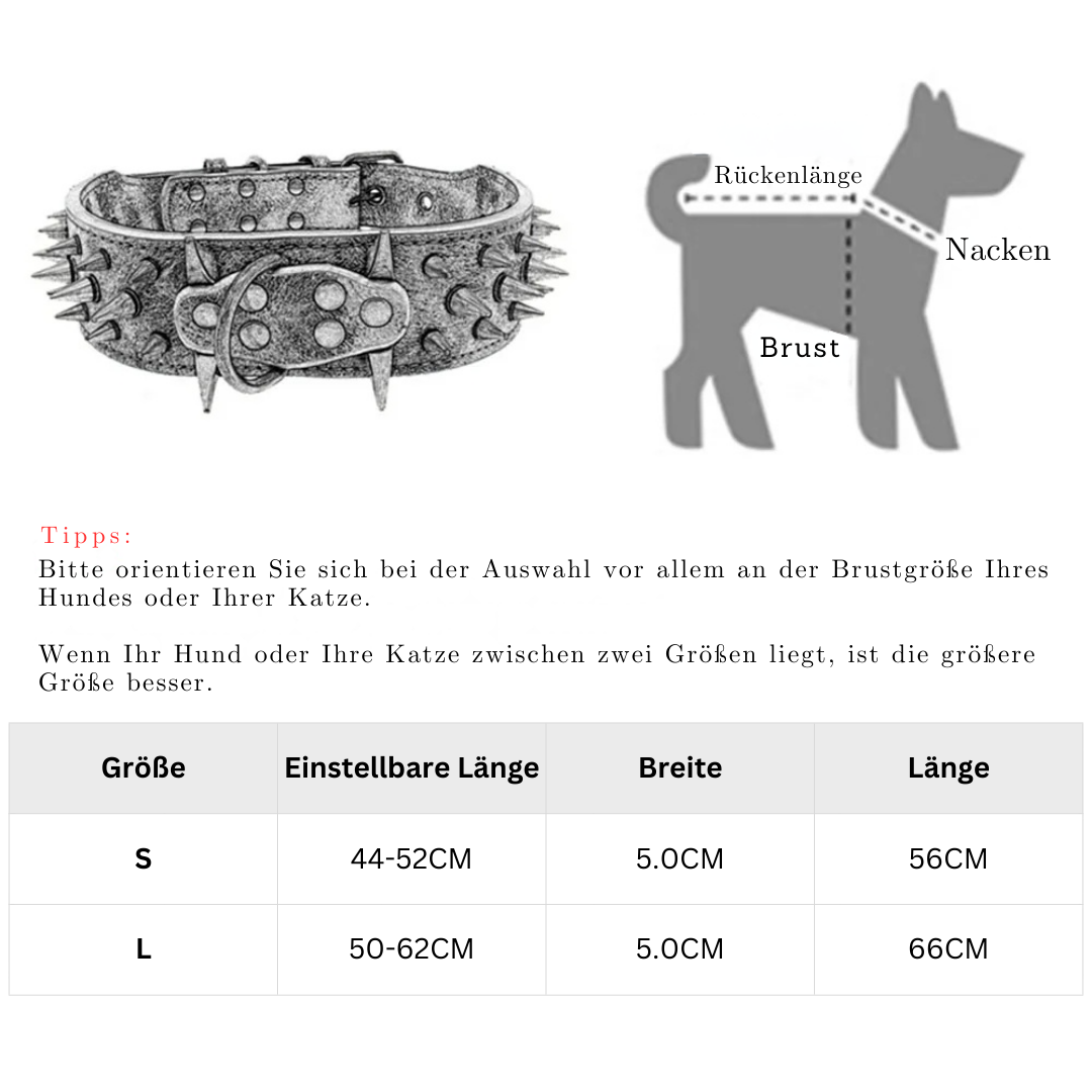 Dog collar with studs for large dogs Bowlift