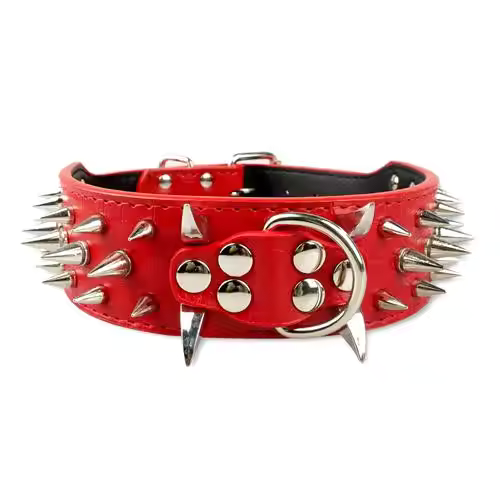 Dog collar with studs for large dogs Bowlift