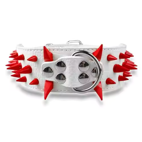 Dog collar with studs for large dogs Bowlift