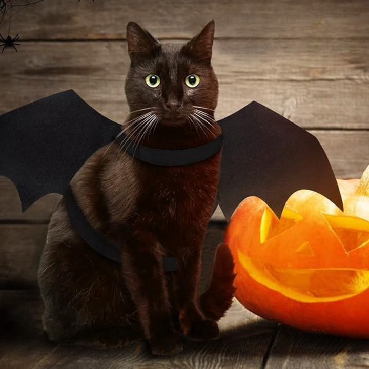 BowLift | Spooky Halloween Pets Bat Wings