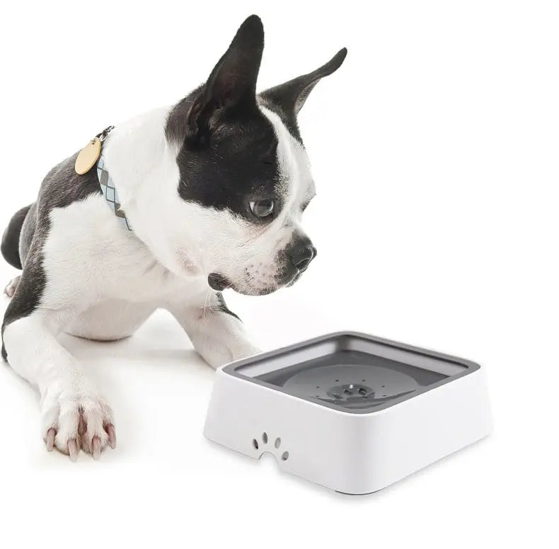 BowLift | Anti-Splash Water Dispenser for Cats & Dogs – Fresh Water, Clean Floors