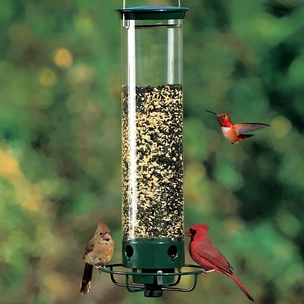 BowLift | Squirrel-Proof Bird Feeder
