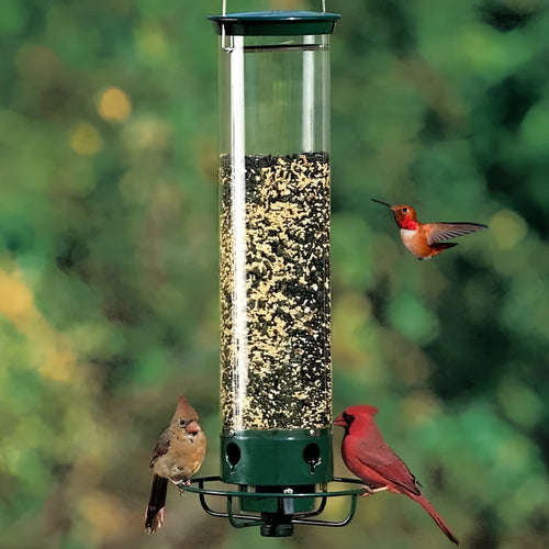 BowLift | Squirrel-Proof Bird Feeder