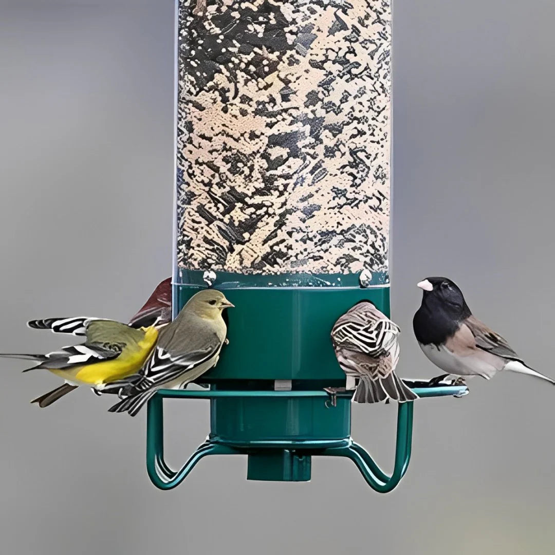 BowLift | Aviron Bird Feeder with Anti-Squirrel Protection | Spin Mechanism | 4 Feeding Openings | 2.27 kg Capacity