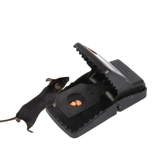 BowLift | Strong Rat Trap – High Sensitivity Snap Trap