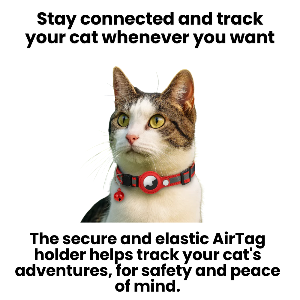 BowLift | Cat GPS Tracker Collar | Quick Release Closure, Reflective Design & Durable for Outdoor Safety Adventures