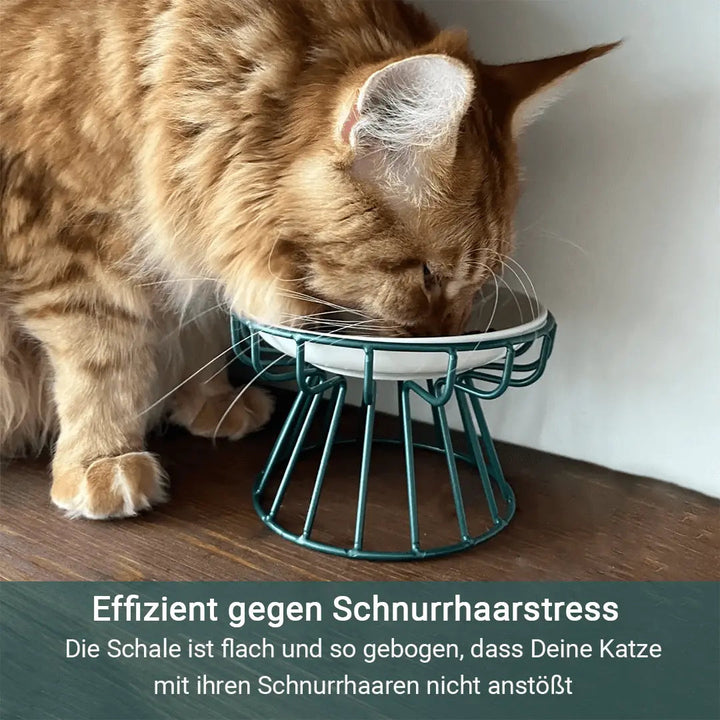 BowLift | Stress-free and healthy ergonomic cat bowl – Set of stand and bowl