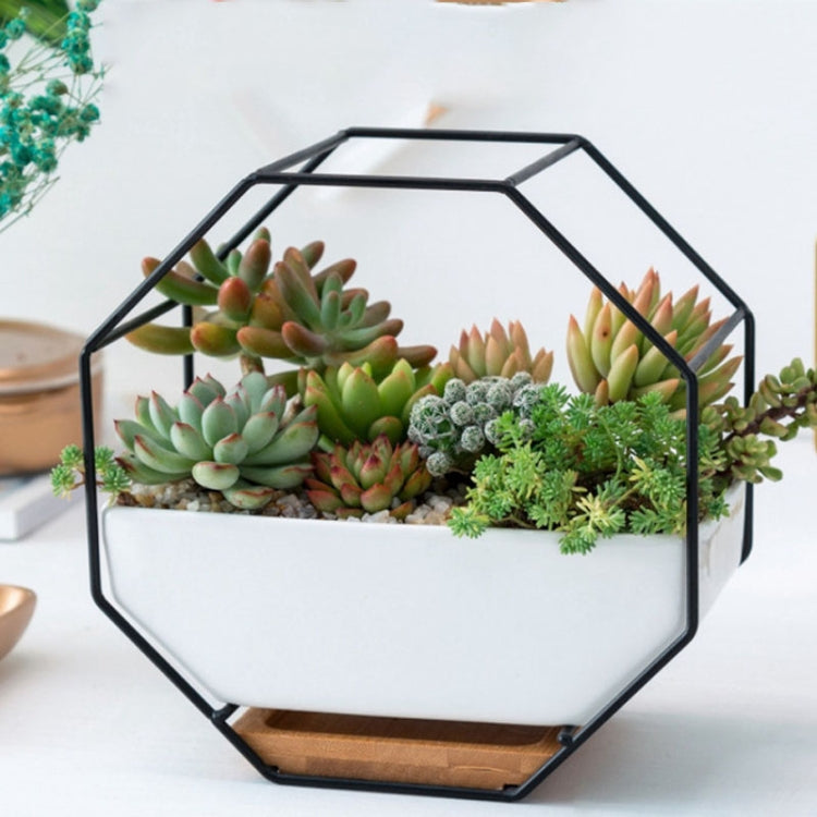 BowLift | Simple octagonal geometric wall hanging table succulent plate bamboo support iron frame flower pot (black)