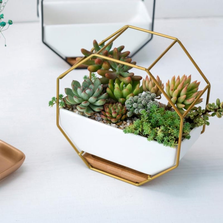 BowLift | Simple octagonal geometric wall hanging table succulent plate bamboo support iron frame flower pot (black)